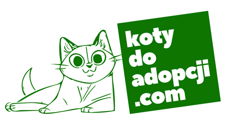logo kotydoadopcji.com zielone